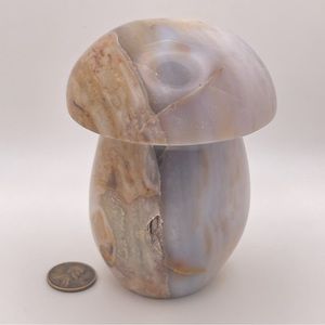 Large Ocean Jasper Mushroom!